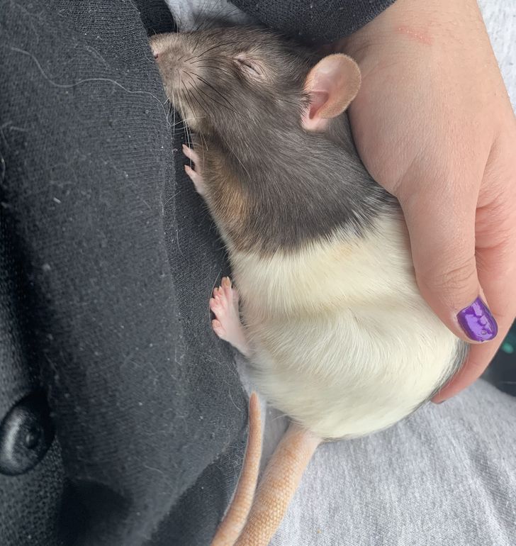 0b123c53f8903e026e01e7ab64