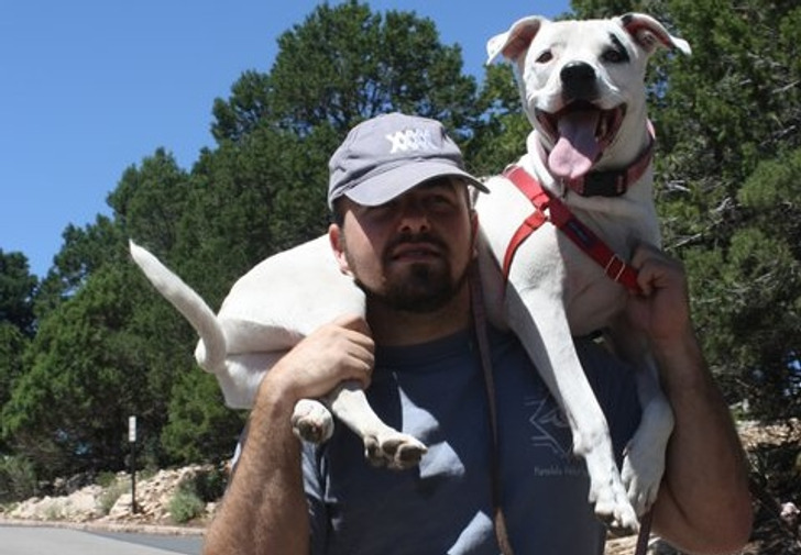 0b150b5bf49d6cbf18a2974c36