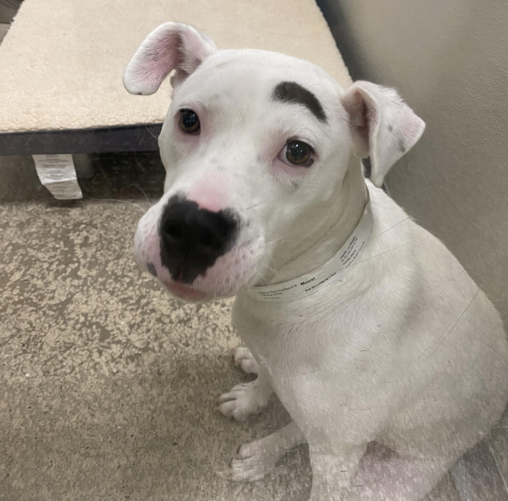 0b1e6e5f59937a4ee11dee7131