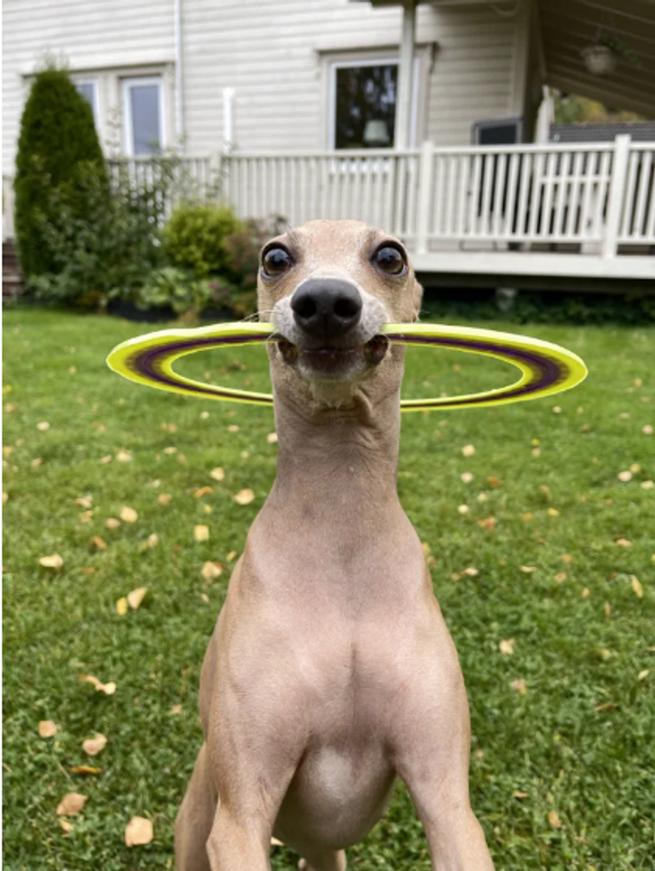 0b1e9f5948af68716bc490b558 0b1e9f5948af68716bc490b558