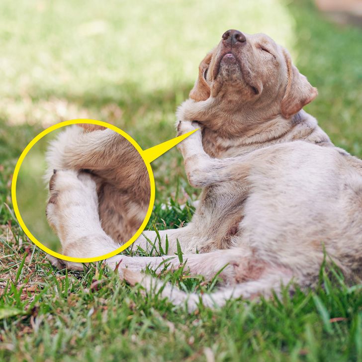 0b1f98571a89a2b589e30dbfaa