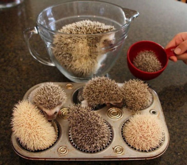 0b27335c619978d39ea42b9d22