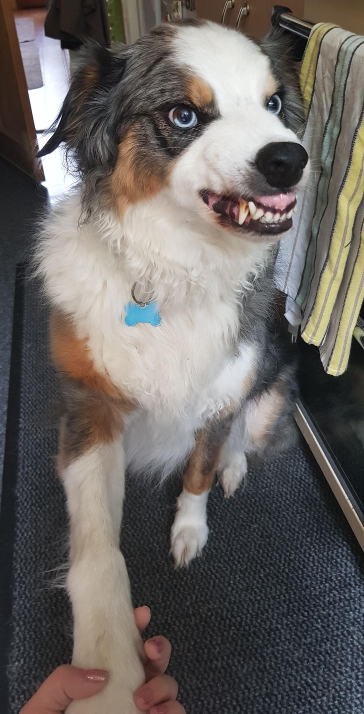 0b29715d8d825ddf659396bf81