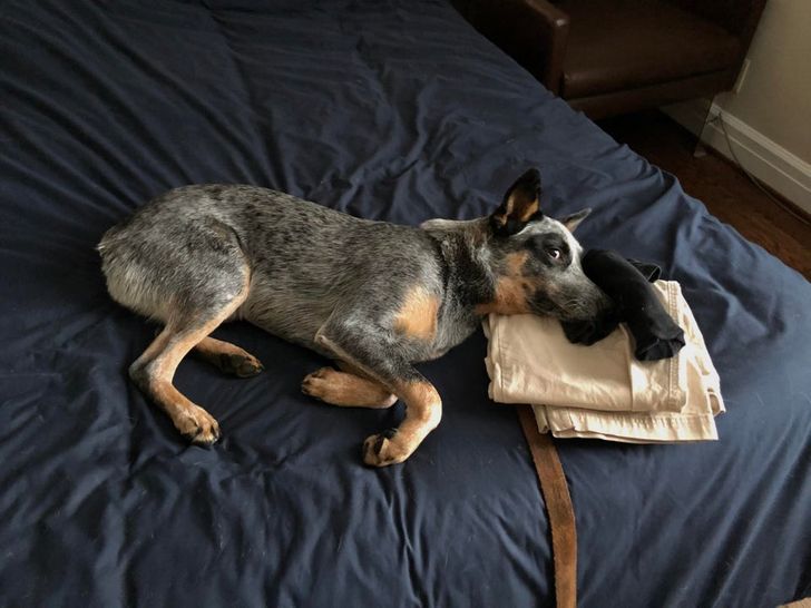 0b2cd35c9abe33b276e236facb