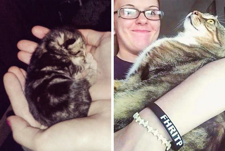 0b310250a59068f8f54bdc61e6