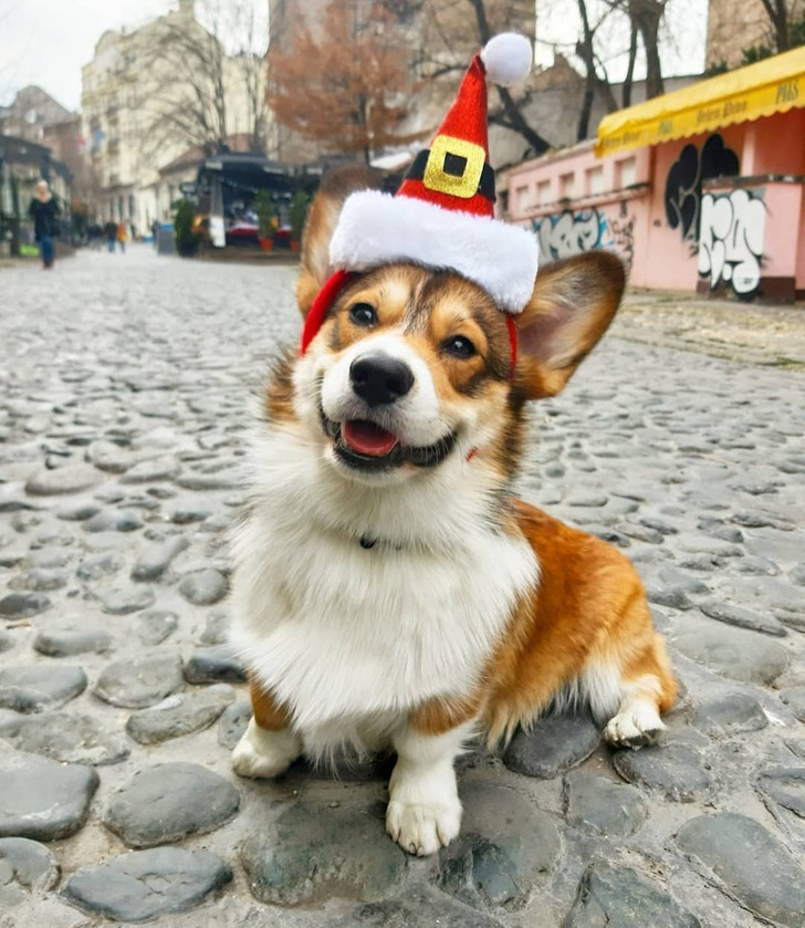 0b35415002a4f4e38b7862f174