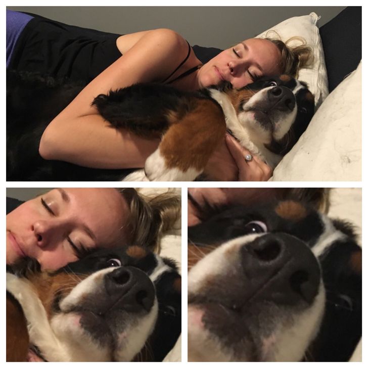 0b366656c38b104cb95de7b249