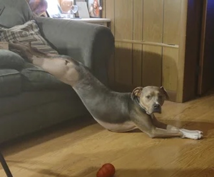 0b3f385e8e8775935adbe0d483