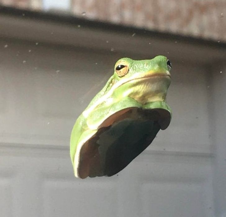 0b4003506996dc947df455f418