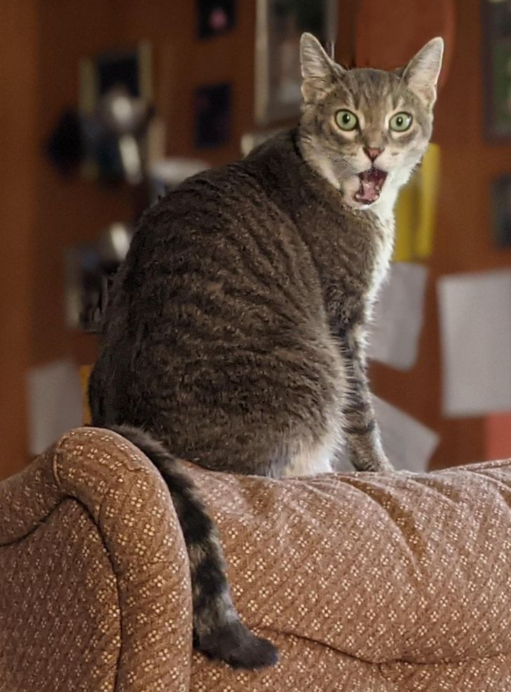 0b40285ce598e79b00d34a1eeb