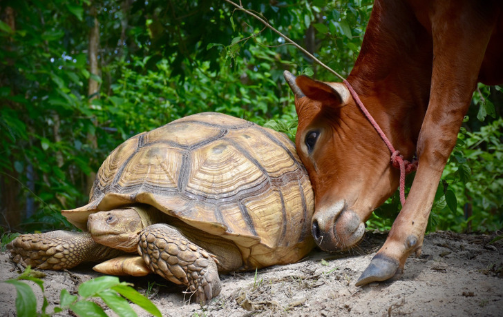 0b42225b77a63f8bdabfa6e50c