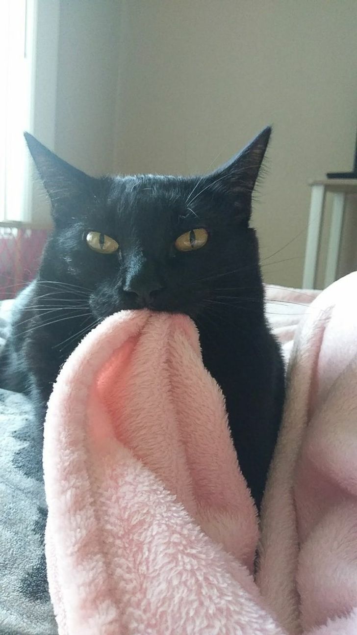 0b47ac5260b9e0e11aa808d46b