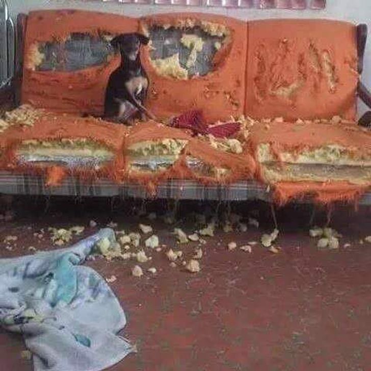 0b47cd567daac259b91a0c3908