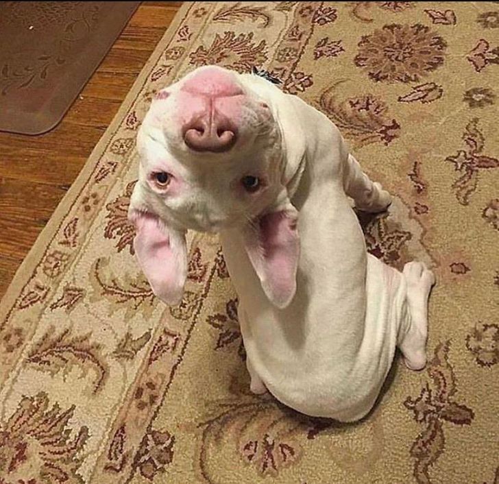 0b4aca56c29c19cb245867f579