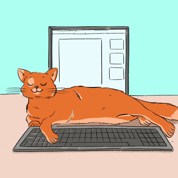 0b4dce534babefa69c881cf6b7