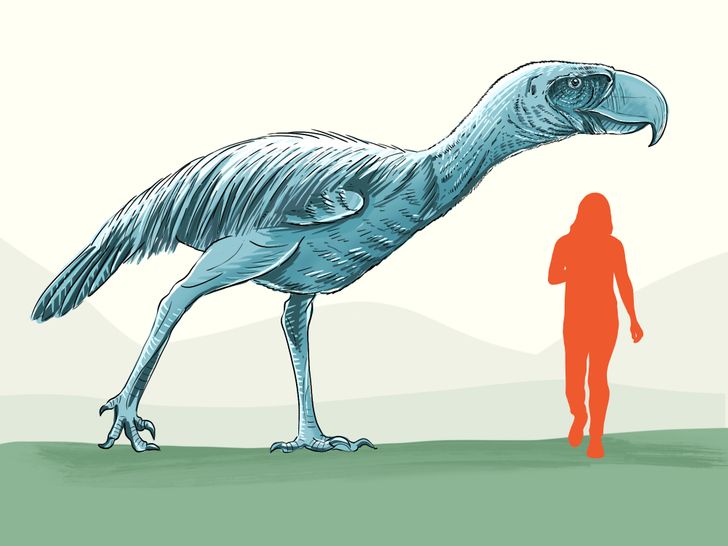 0b5b315c8aa48af12a38d1a6f2