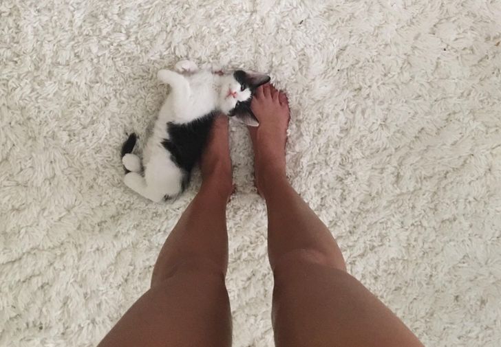 0b659e588bb7f0f35bc57a6448