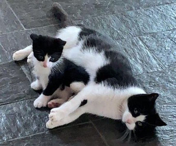 0b66a45f60a784861f462be516