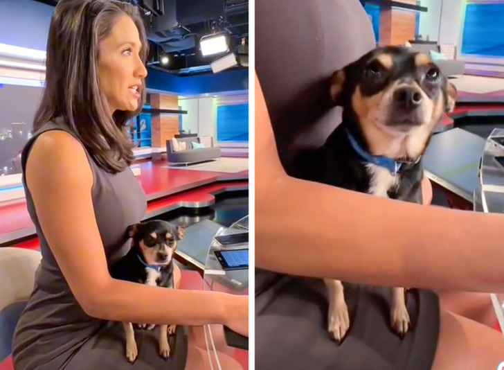 0b6a9650cb89ae007383aecabf 0b6a9650cb89ae007383aecabf