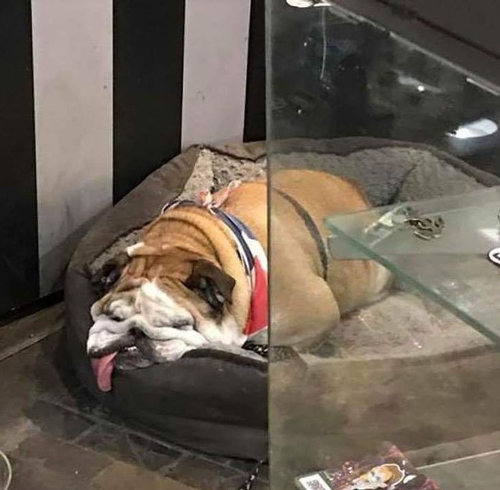 0b70cd5c658c7c2e7a735f4ad3