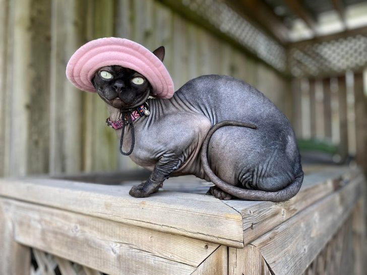 0b718f56f486257fda0c9d17f9