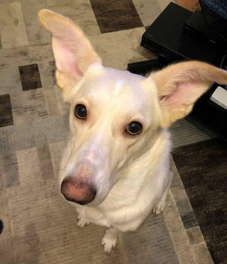 0b74a35796b0089136fd660b49