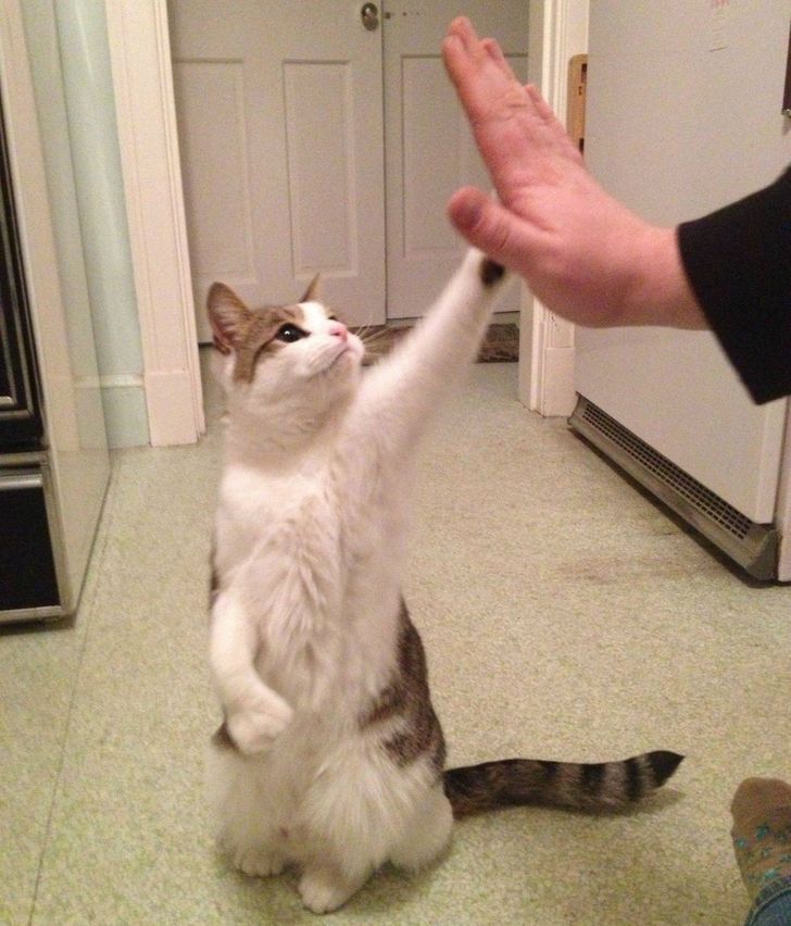 0b8a4551ee898e19f3e295c292