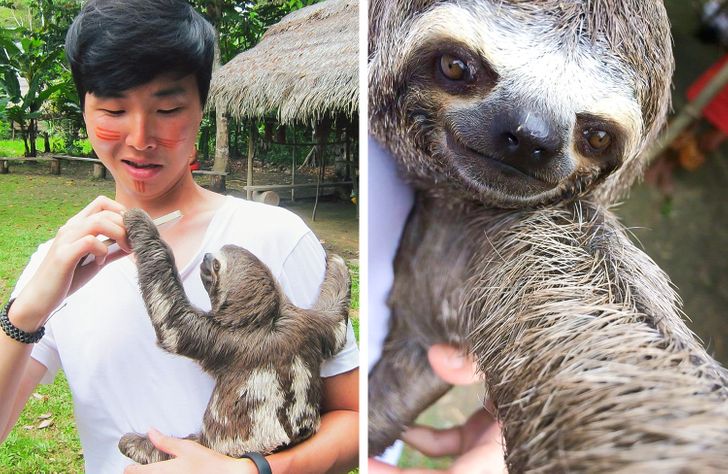 0b93ca5444927691a7956f5087