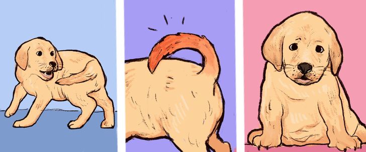 0baee1512188e4665a138b5c49