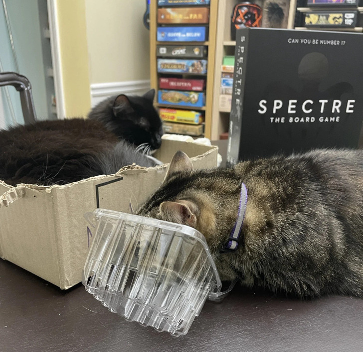 0bb7145bc2974ecb97852880fc 0bb7145bc2974ecb97852880fc