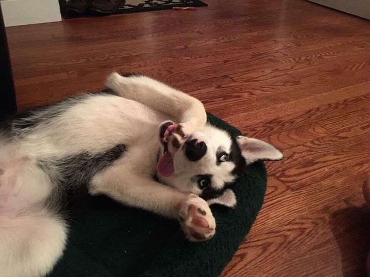 0bc0475d6aa4d742853ece30a4