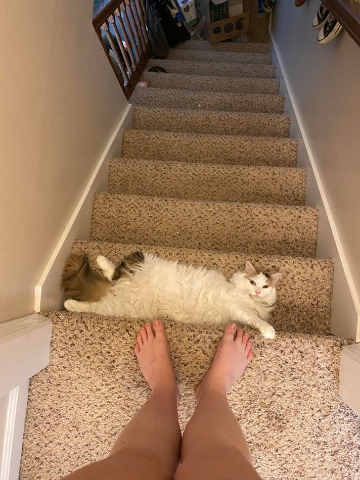 0bc12752eeb0432540e6a2bcd7