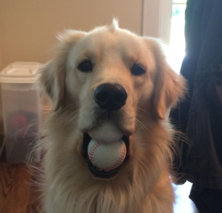 0bccd05006a416c15067bb4d99