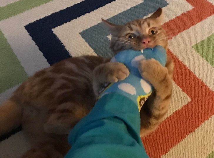 0bd17453688996c0cfe524b3bc