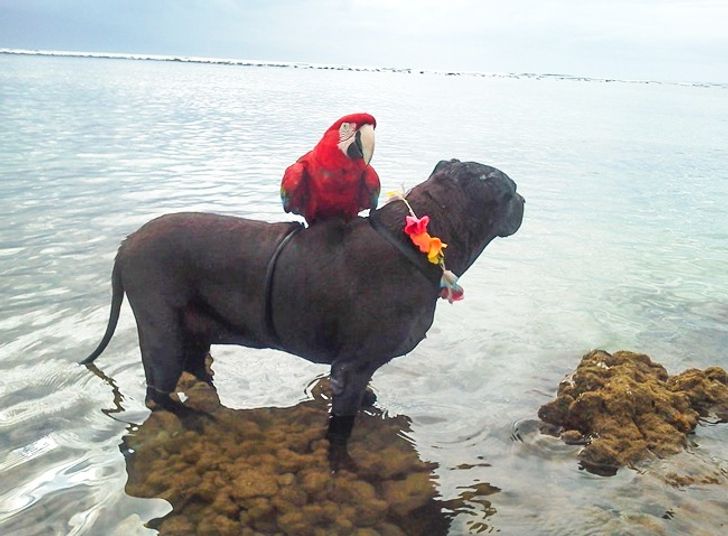 0bd4475597b010bca829fc4a02