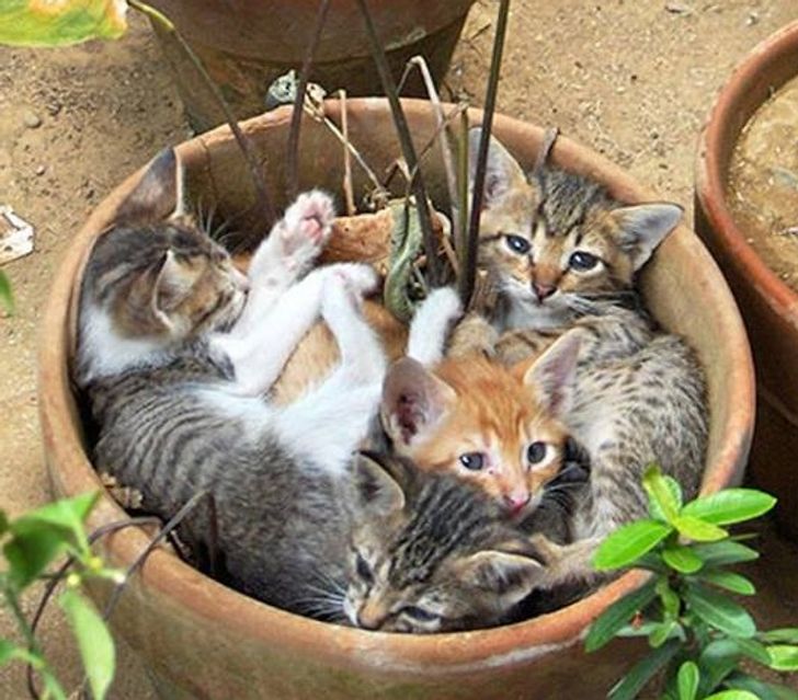 0bdc0655e5860c27cbe956cf94