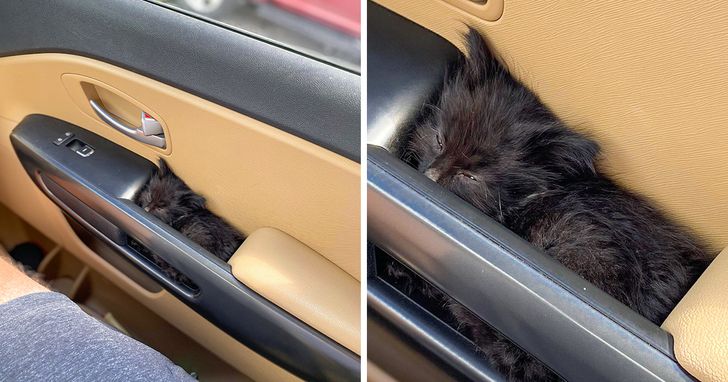 0bec6b5f30bb8c849a5a738b4b