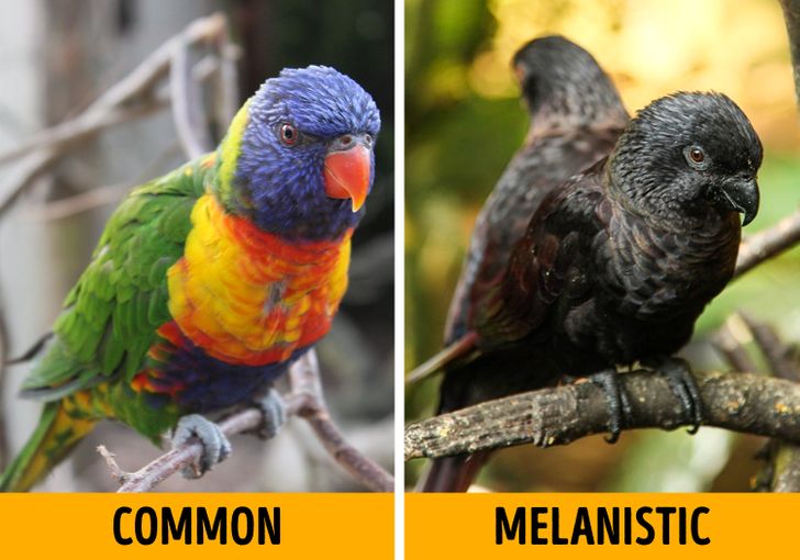 0bfdf7523d97cfc5359ae6ce29