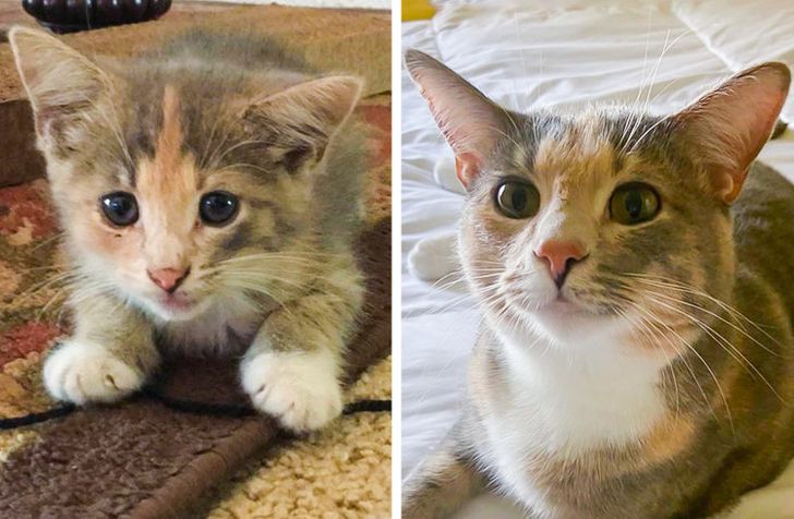 0c024c5dc0b972680d2d7c75fe