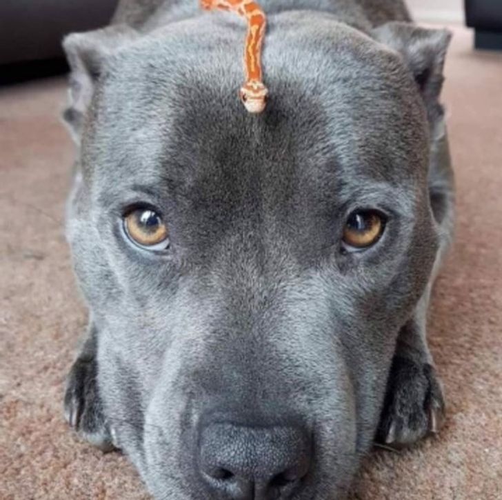 0c038e56ddbec922ca47f837be