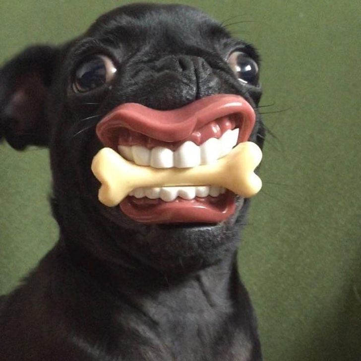 0c10715148b1271b3e16fcd19c