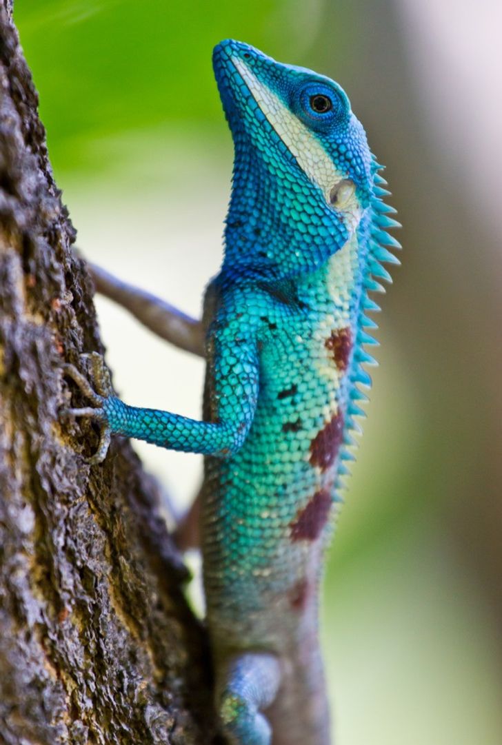 0c149955ef9442f756978b8209