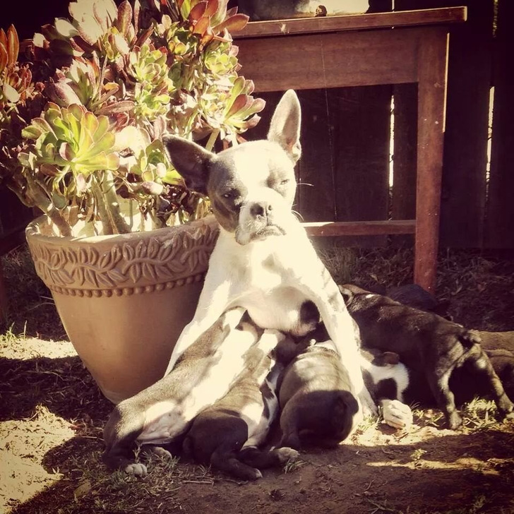 0c1eca534ba3d9e85fad61b3ec 0c1eca534ba3d9e85fad61b3ec