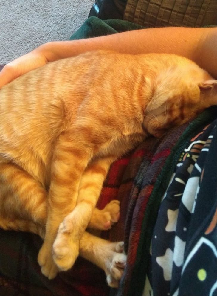 0c1fed5510a62ac67152755ac6