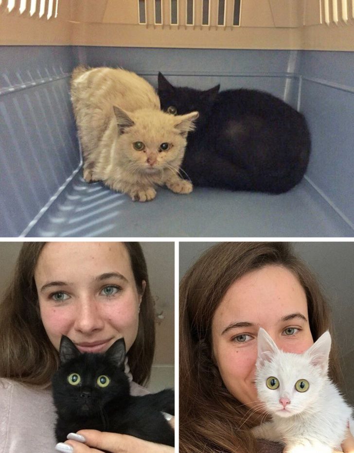 0c218e5c1d8ec0258ccd47f21c