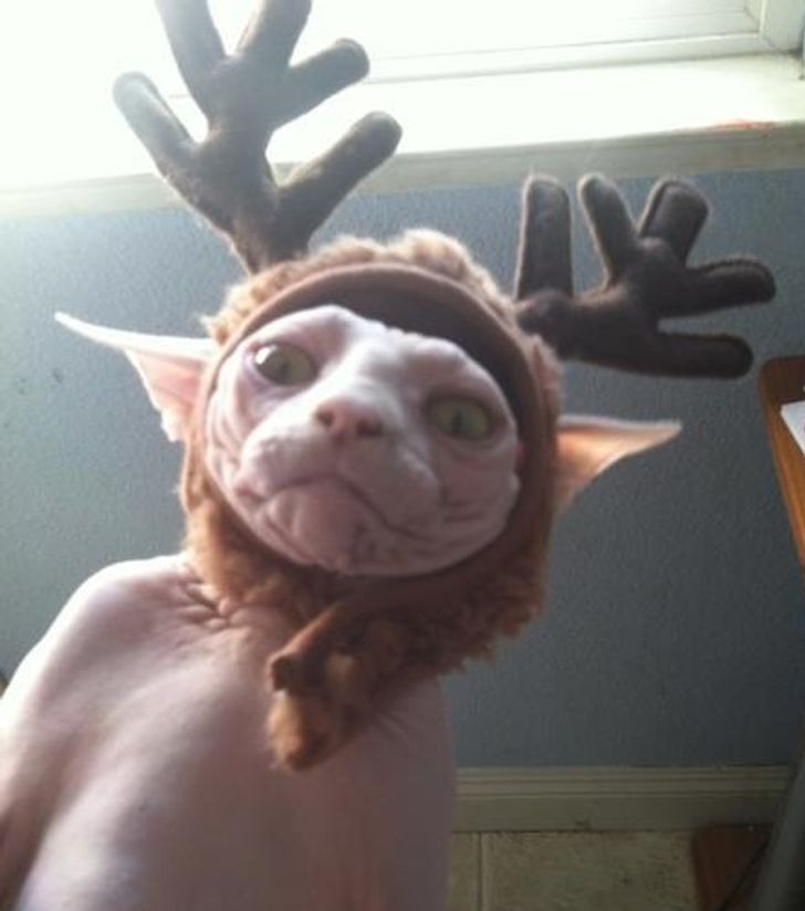 0c226b5702b9abaee74e84bc9b