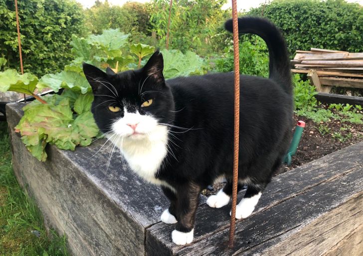 0c23745c71900828367172adf7