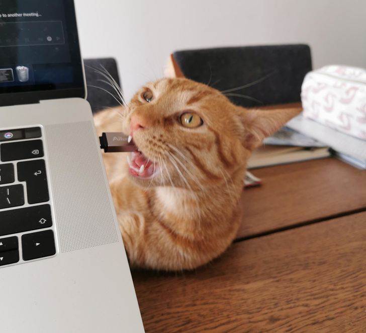 0c25bd58e485c3e9a6e8caf2e5