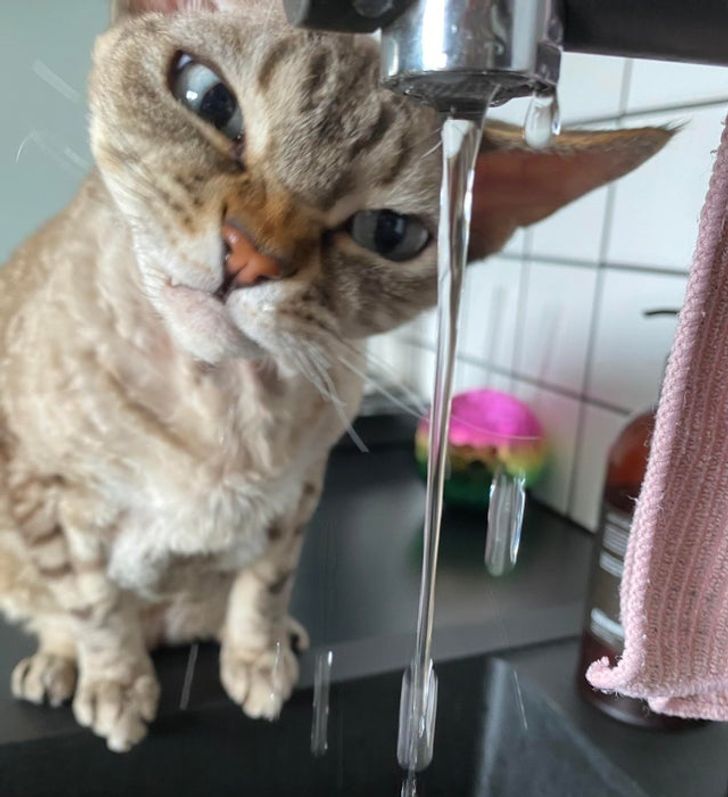 0c33815be08b1356e09fdc2b43