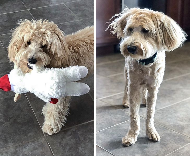 0c345f5d4ba26da15208adf11b